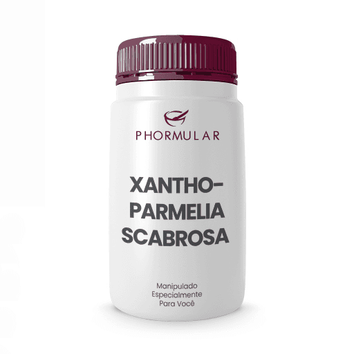 Xanthoparmelia Scabrosa